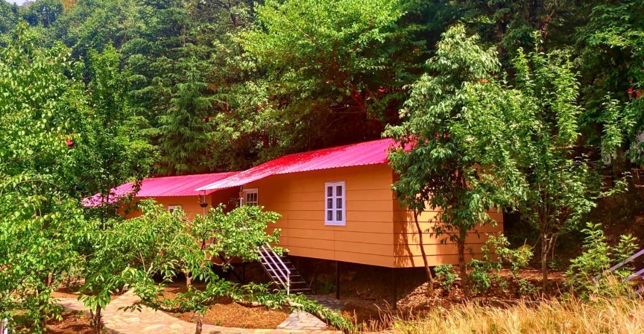 Aaroham Resort, Shimla Zewnętrze zdjęcie